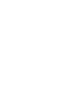 Secure Footer Badge Logo
