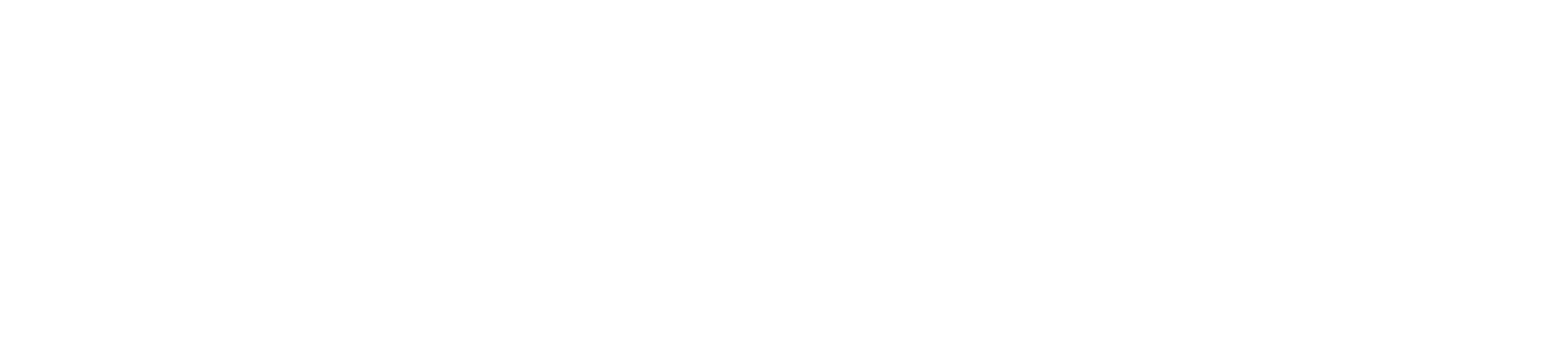 Secure Logo